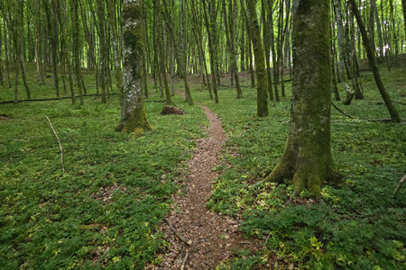20250517_201209.jpg