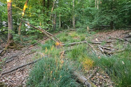20250517_205039.jpg