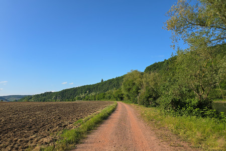 20250518_182559.jpg