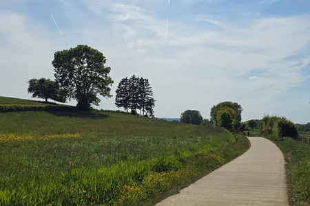 20250519_165135.jpg