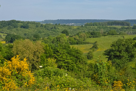 20250519_173233.jpg