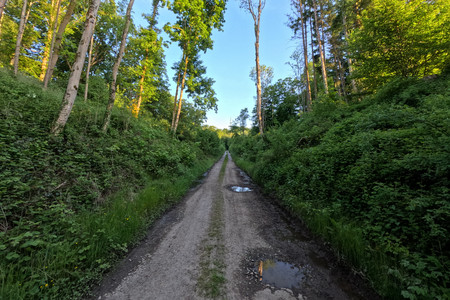 20250519_201747.jpg