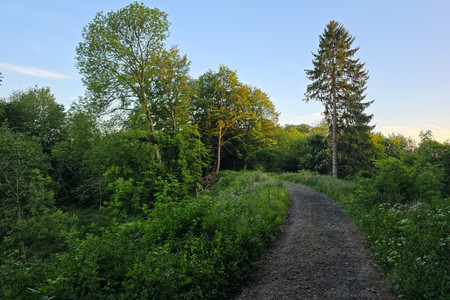 20250519_205248.jpg