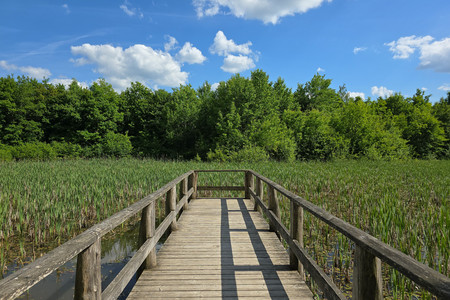 20250520_162550.jpg