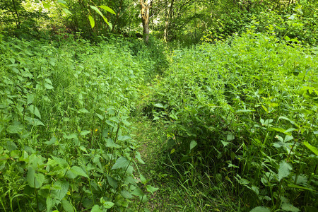 20250520_165904.jpg