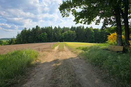 20250520_180729.jpg