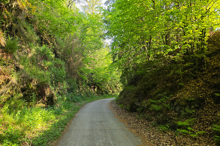 20250520_184020.jpg