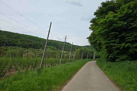 20250521_173446.jpg
