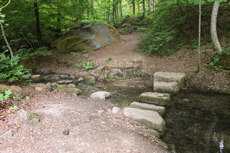 20250521_174227.jpg