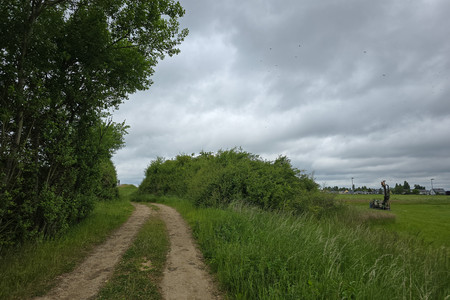 20250525_121319.jpg
