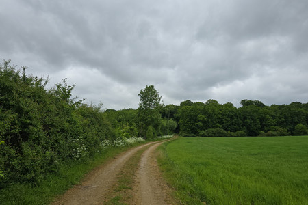 20250525_122535.jpg