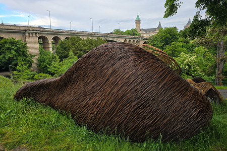 20250525_193731.jpg