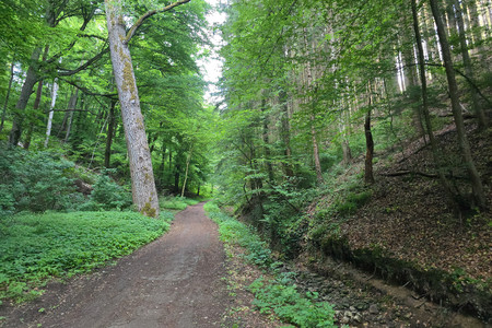 20250526_201325.jpg