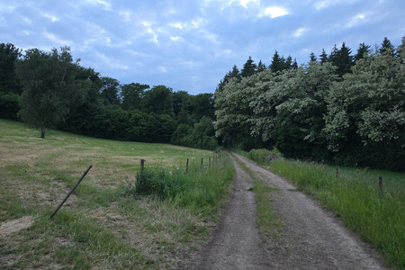 20250526_213143.jpg