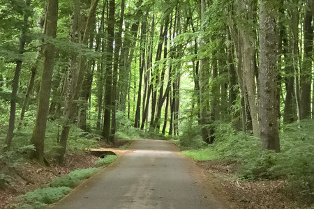 20250527_175038.jpg