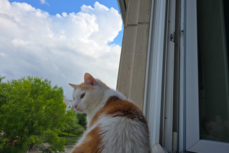 20250528_173207.jpg