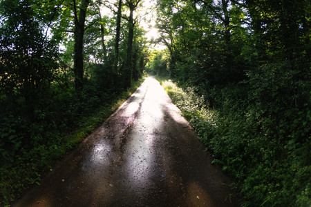 20250528_191650.jpg