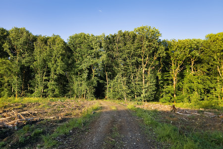 20250528_201329.jpg