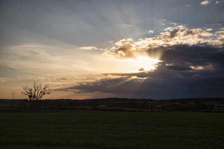 20250528_204036.jpg