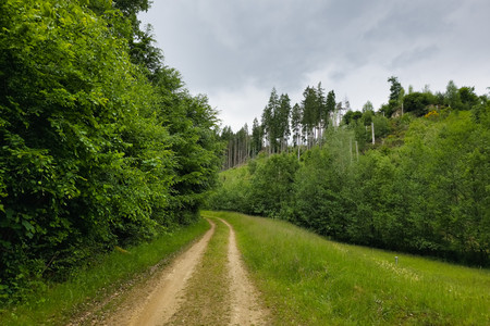 20250529_170203.jpg