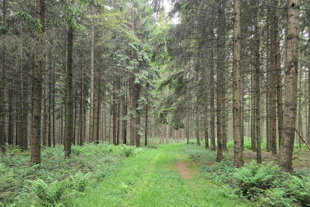 20250529_181146.jpg