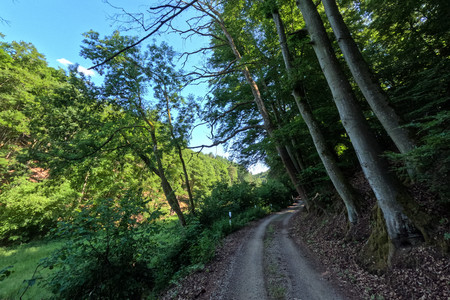 20250530_165006.jpg
