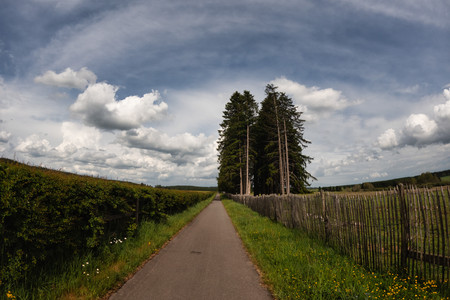 20250531_161123.jpg