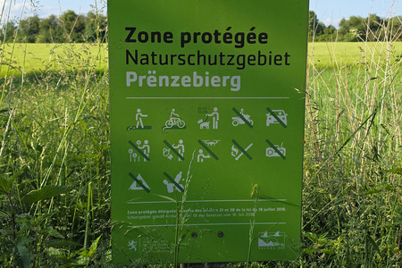 20250602_184137.jpg