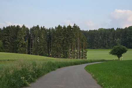 20250603_193004.jpg