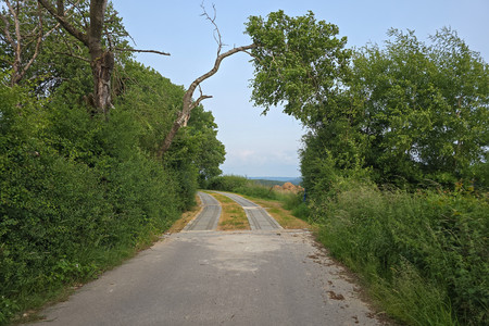 20250603_201429.jpg