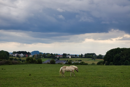 20250604_184114.jpg