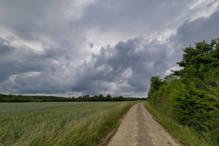 20250604_201425.jpg