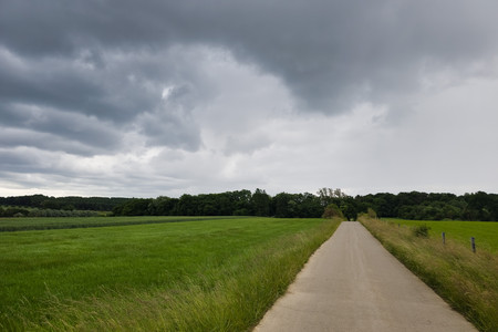 20250605_173154.jpg