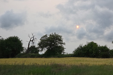 20250607_202356.jpg