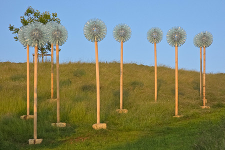 20250608_203830.jpg