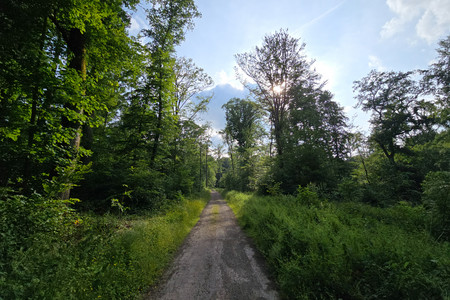 20250610_183012.jpg