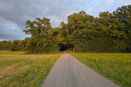20250610_211356.jpg