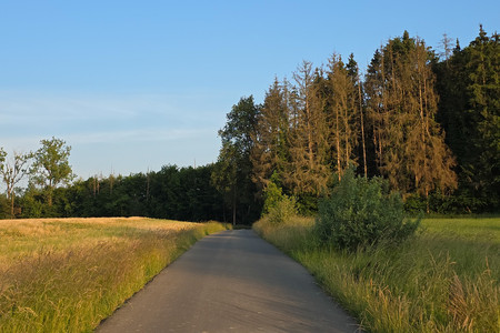 20250611_204509.jpg