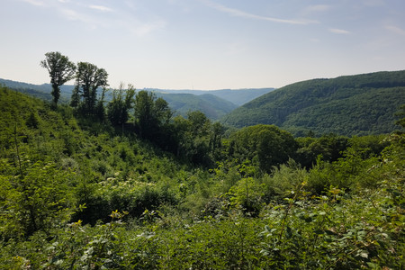 20250612_173722.jpg
