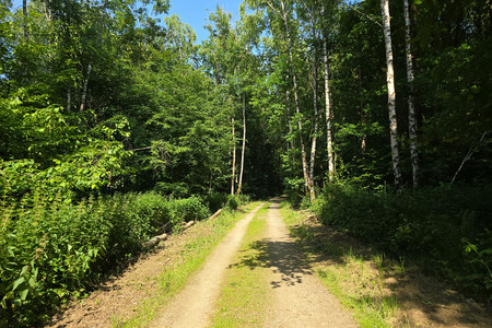 20250613_164013.jpg