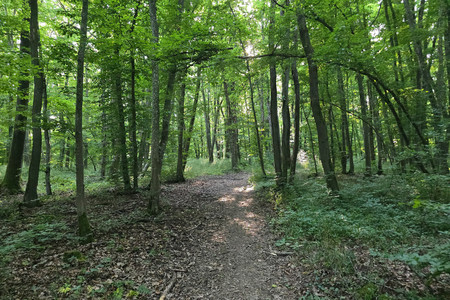 20250613_191147.jpg