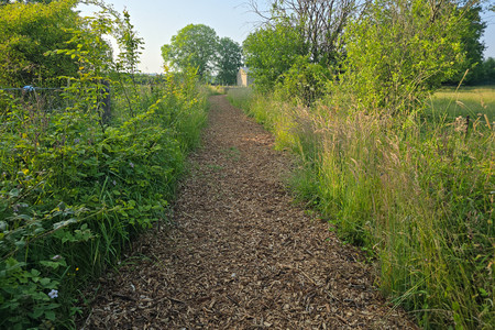 20250613_192724.jpg