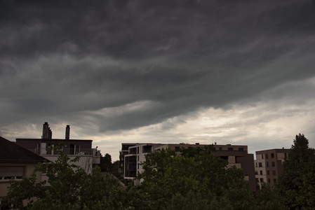20250614_135642.jpg