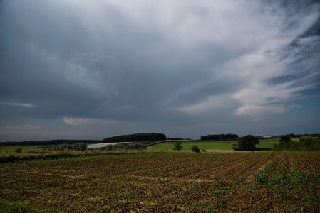 20250614_170348.jpg