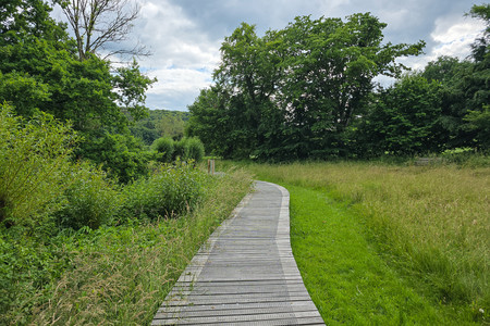 20250616_161536.jpg