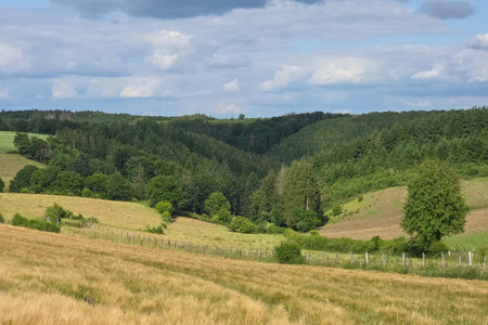 20250616_174155.jpg