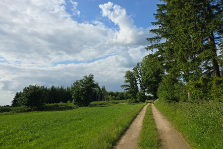 20250616_180529.jpg
