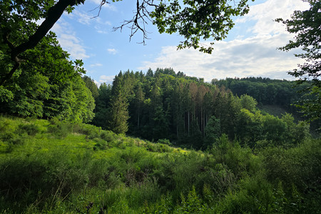 20250616_183230.jpg