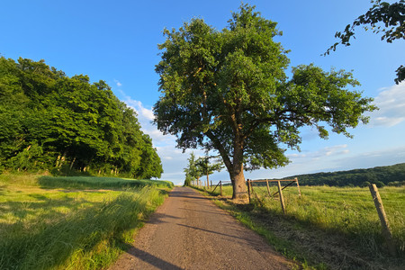 20250616_202223.jpg