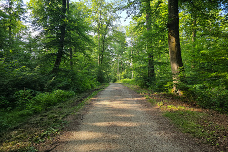20250617_182338.jpg